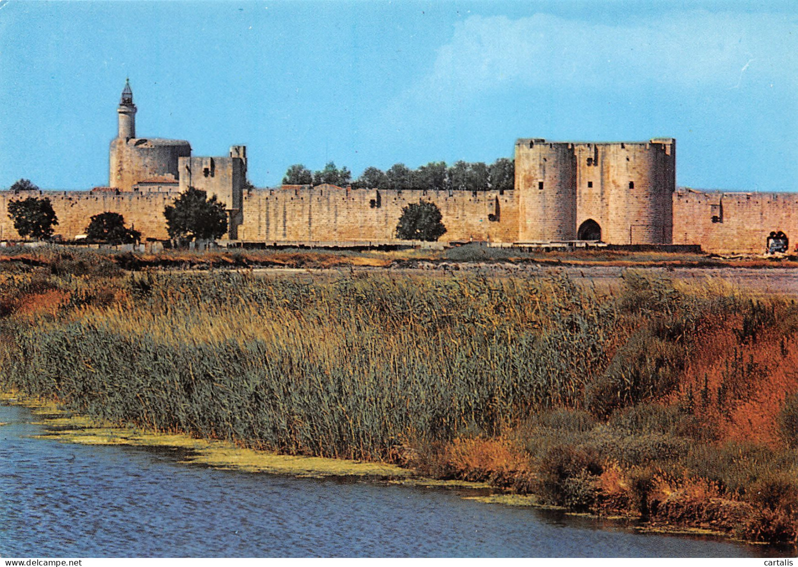 30-AIGUES MORTES-N°3806-D/0177 - Aigues-Mortes