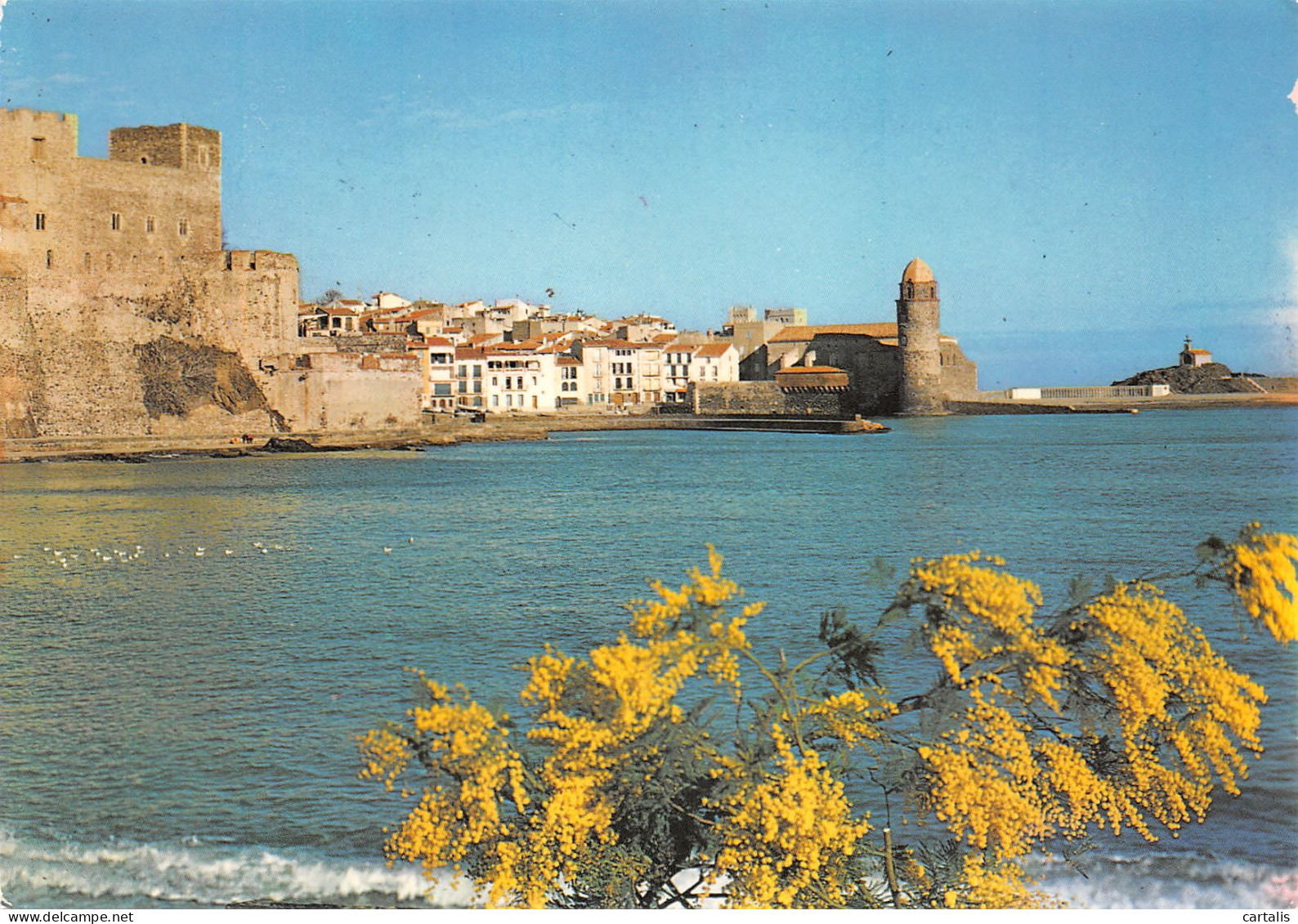 66-COLLIOURE-N°3806-C/0361 - Collioure