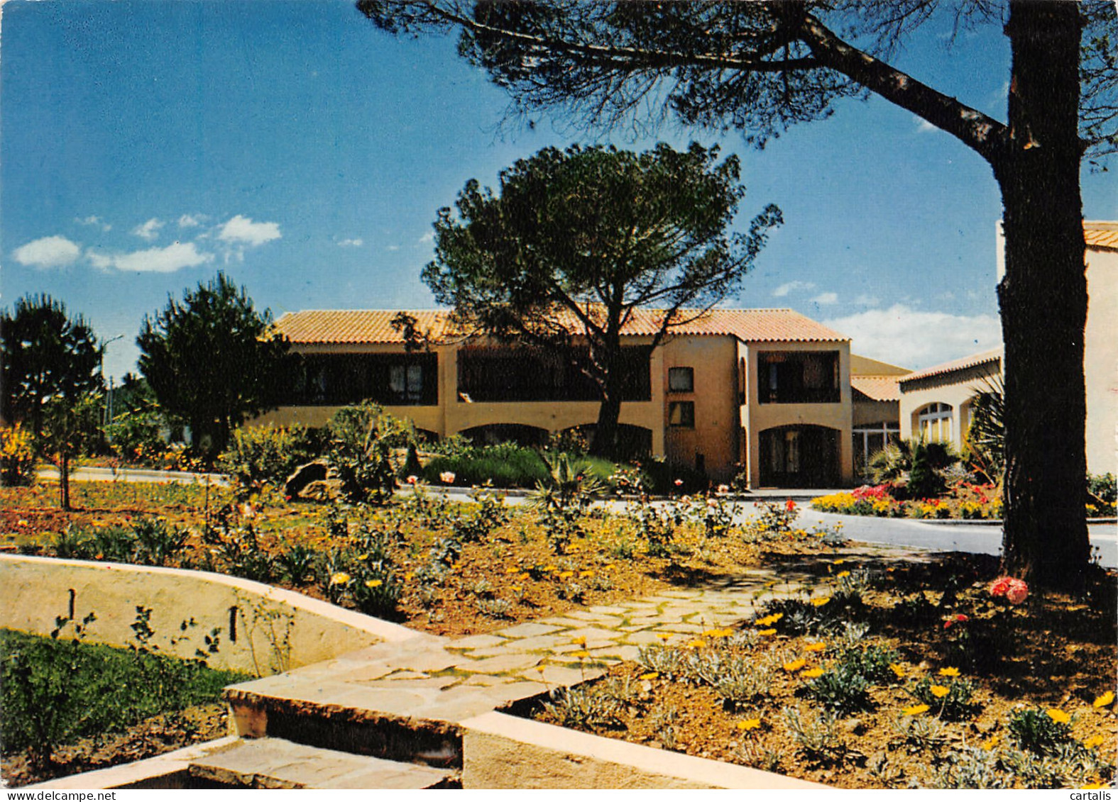 83-ROQUEBRUNE SUR ARGENS-N°3807-B/0237 - Roquebrune-sur-Argens