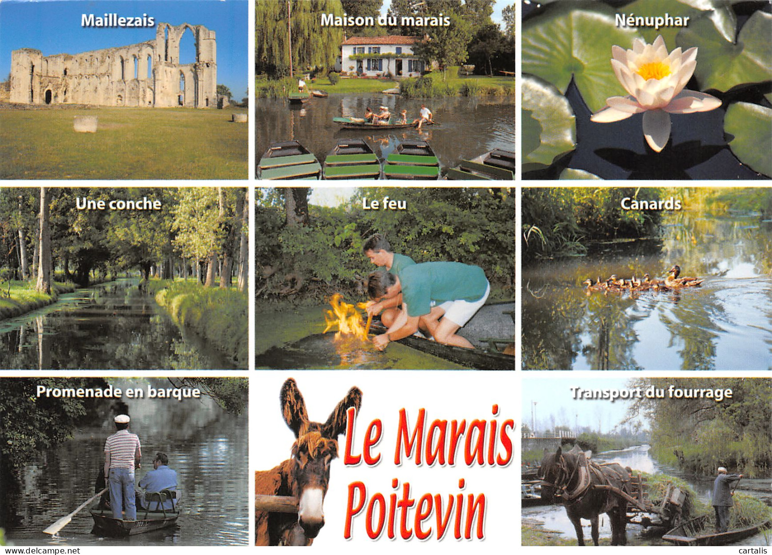 79-LE MARAIS POITEVIN-N3807-A/0119 - Other & Unclassified