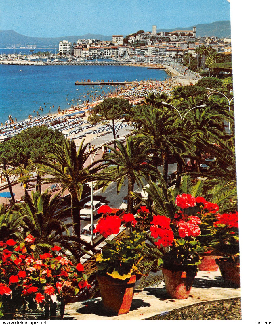 06-CANNES-N°3807-A/0075 - Cannes