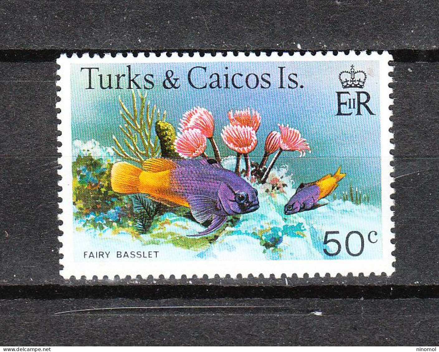 Turks &Caicos - 1979. Pesci Gramma  In Acquario. Fairy Basslet  In Aquarium.  MNH - Fishes