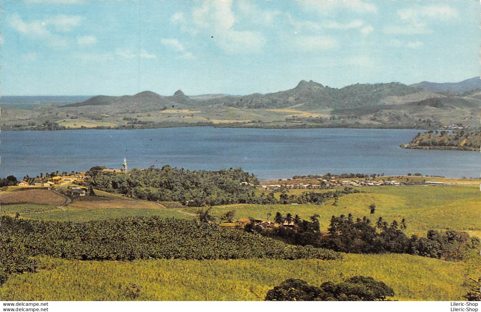 [97]  MARTINIQUE - Le Bourg Et La Baie Du Robert -  Cpsm ± 1960  ( ͡♥ ͜ʖ ͡♥) ♥ - Autres & Non Classés