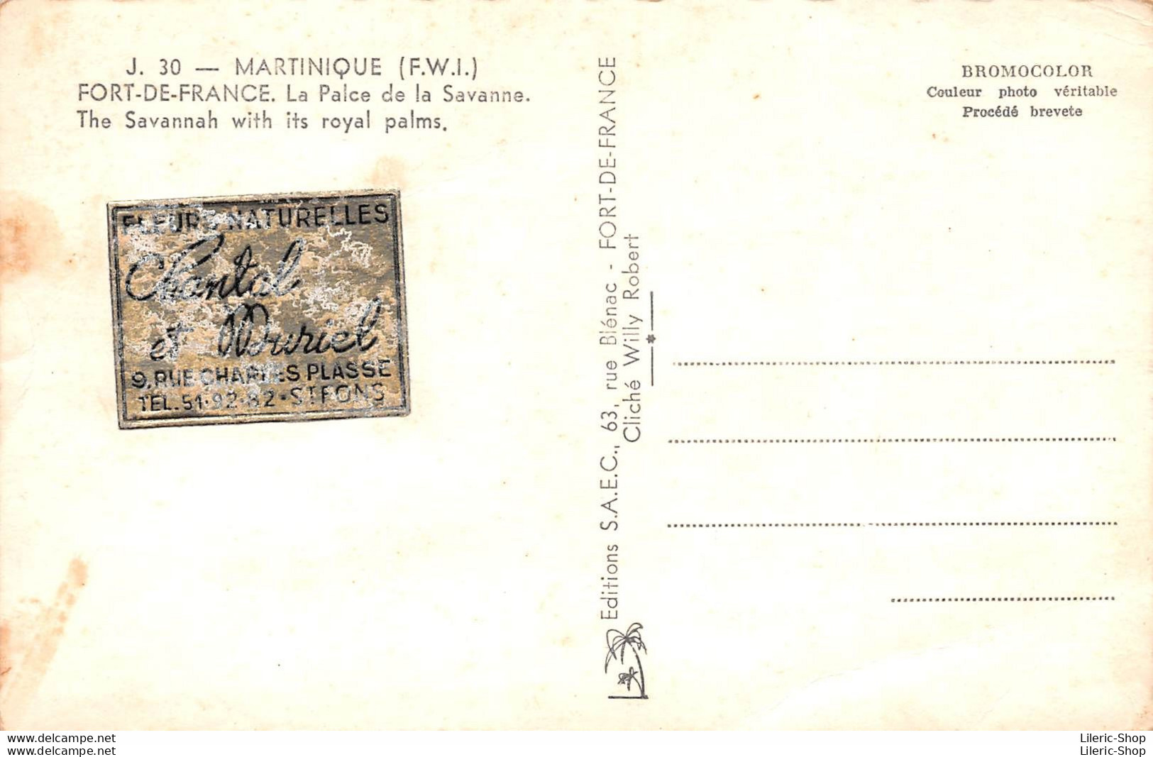 [97]  MARTINIQUE - La Place De La Savanna - -  Cpsm ± 1960 ( ͡◕ . ͡◕) ♣ - Fort De France