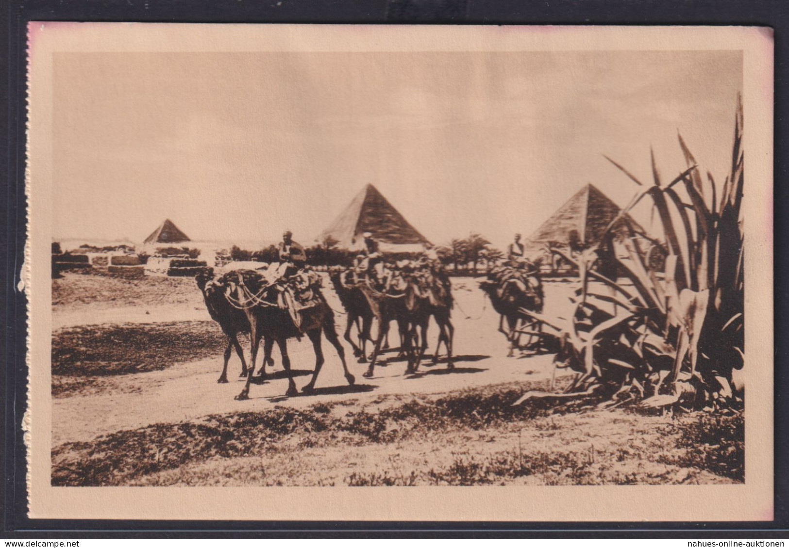 Ansichtskarte Ägypten Beduinen Caravan Pyramide In Giza Kamele - Ohne Zuordnung