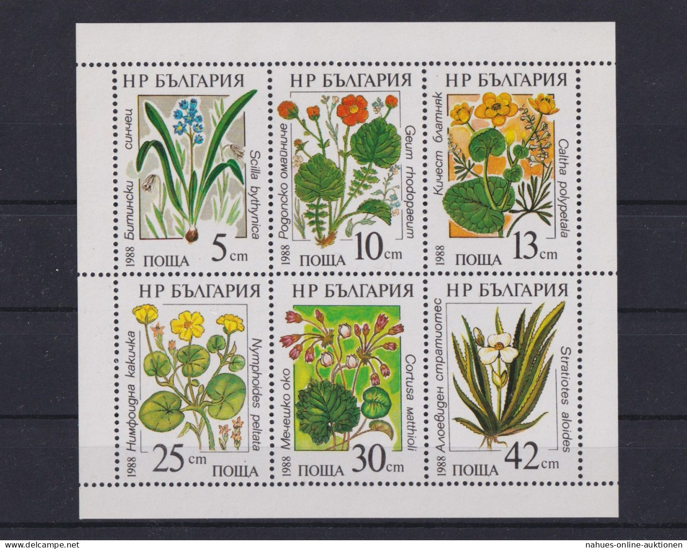 Bulgarien Kleinbogen Wasserpflanzen 3628-2633 Luxus Postfrisch MNH 1988 - Lettres & Documents