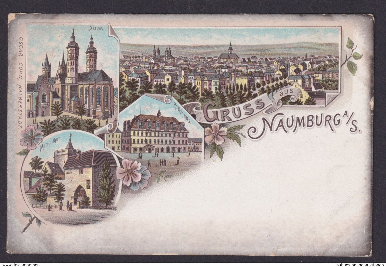 Litho Ansichtskarte Naumburg Saale Sachsen Anhalt Marienthor Dom Rathaus - Altri & Non Classificati
