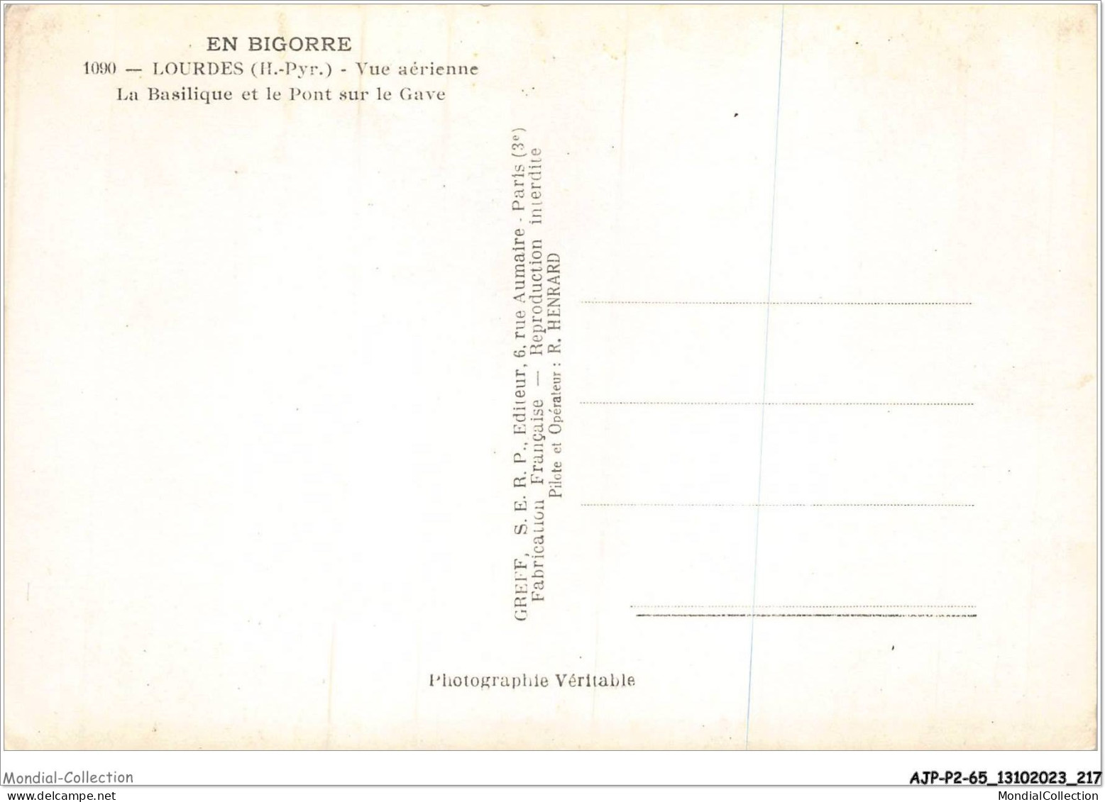 AJPP2-65-0263 - EN BIGORRE - LOURDES - Vue Aerienne - La Basilique Et Le Pont Sur La Gave - Lourdes