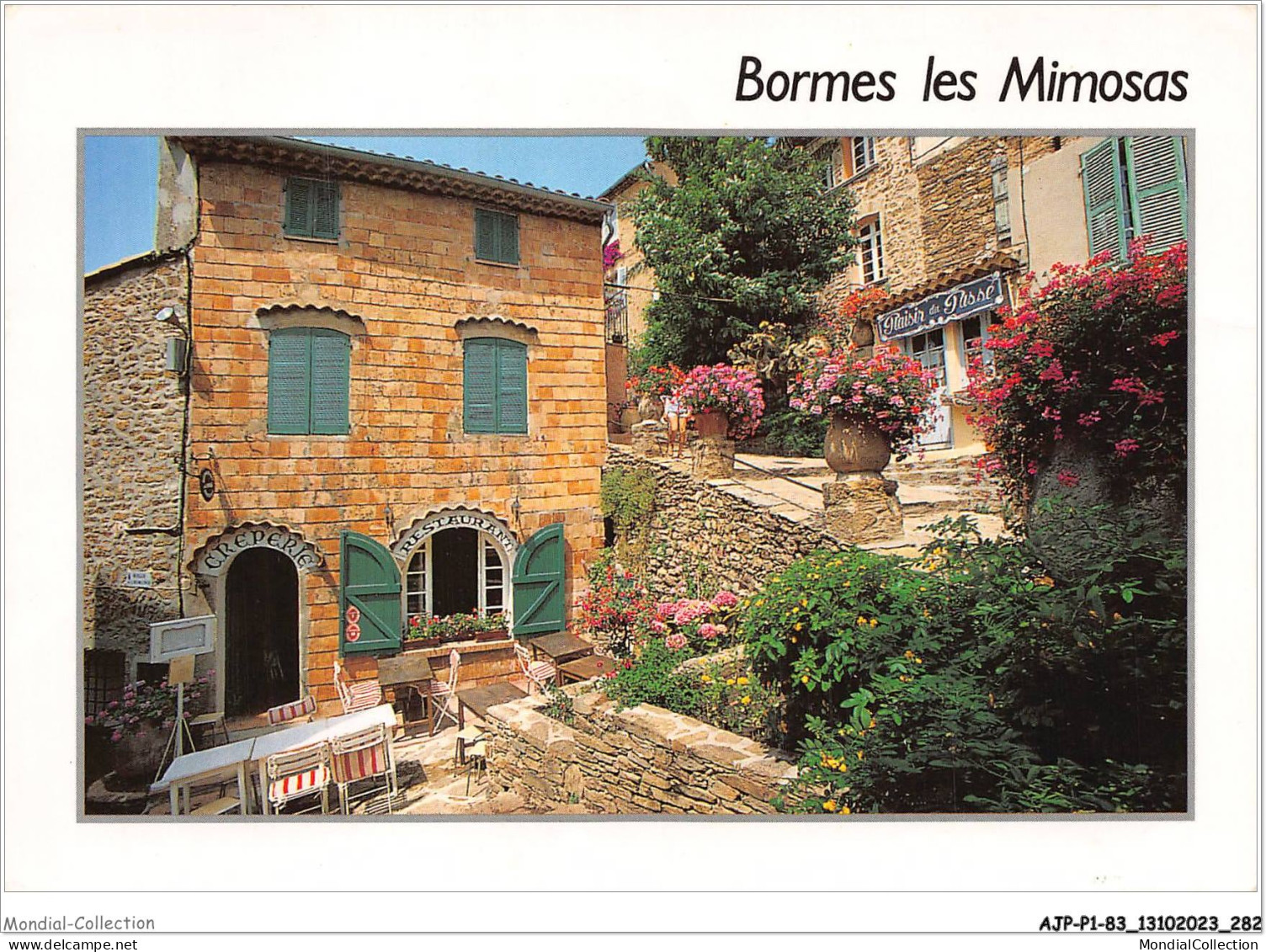 AJPP1-83-0141 - BORMES-LES-MIMOSAS  - Bormes-les-Mimosas