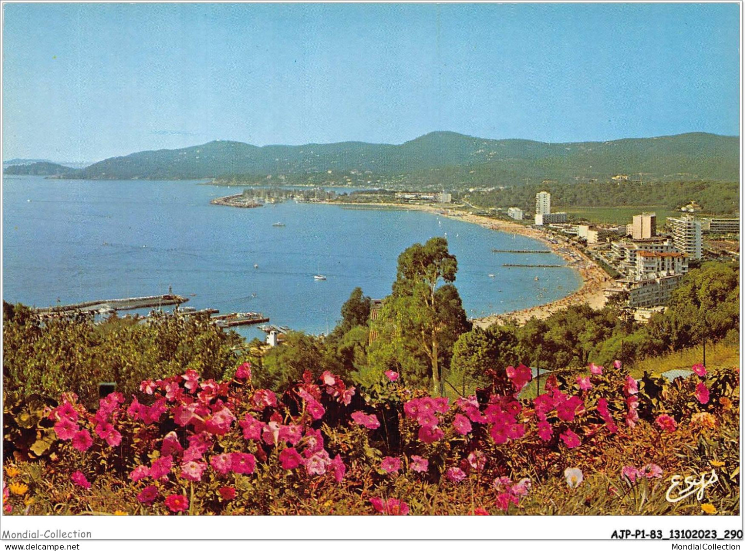 AJPP1-83-0145 - LE LAVANDOU - Vue Generale - Le Port De Bormes Et Le Cap Benat - Le Lavandou