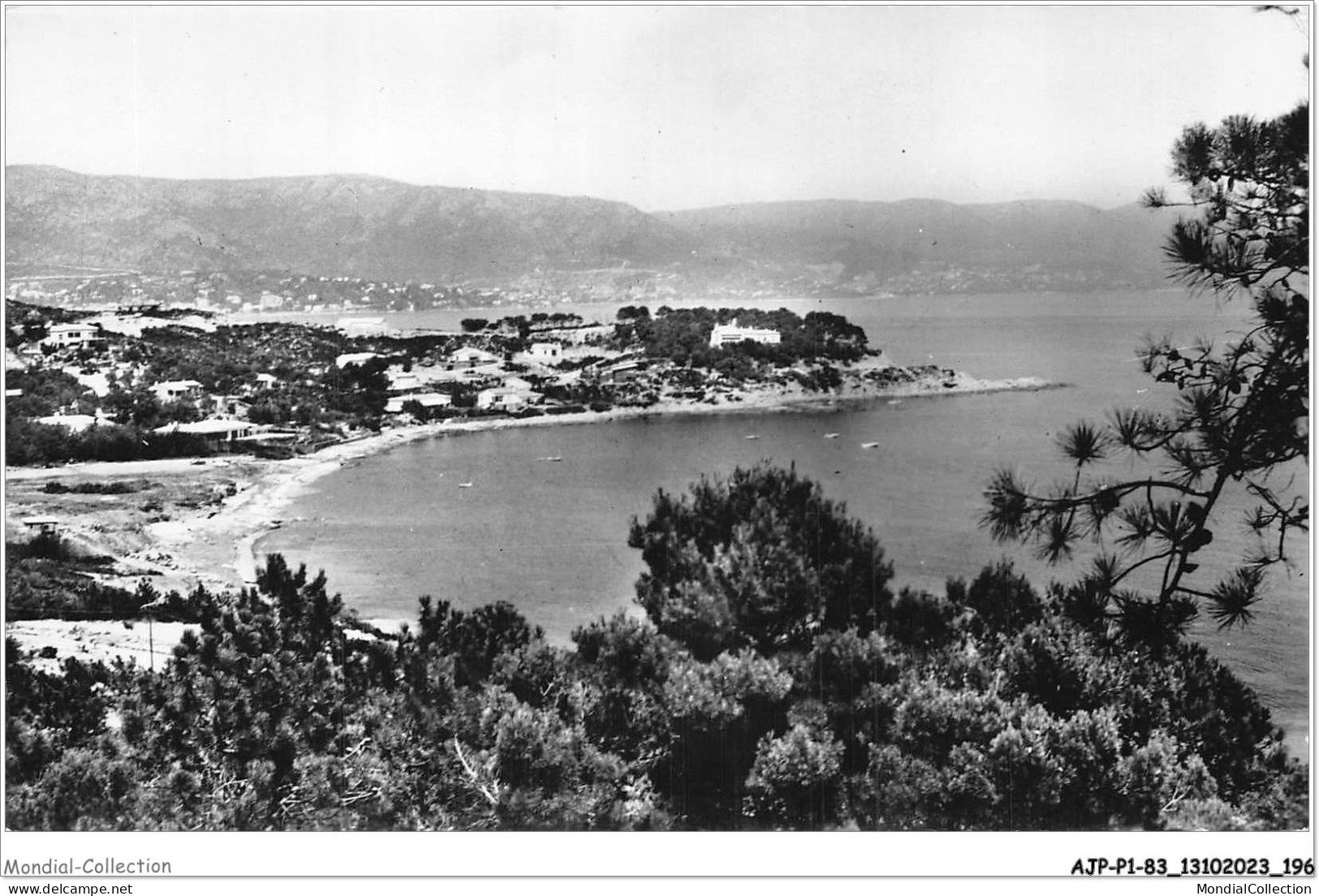 AJPP1-83-0099 - LE LAVANDOU - La Faviere - Le Lavandou