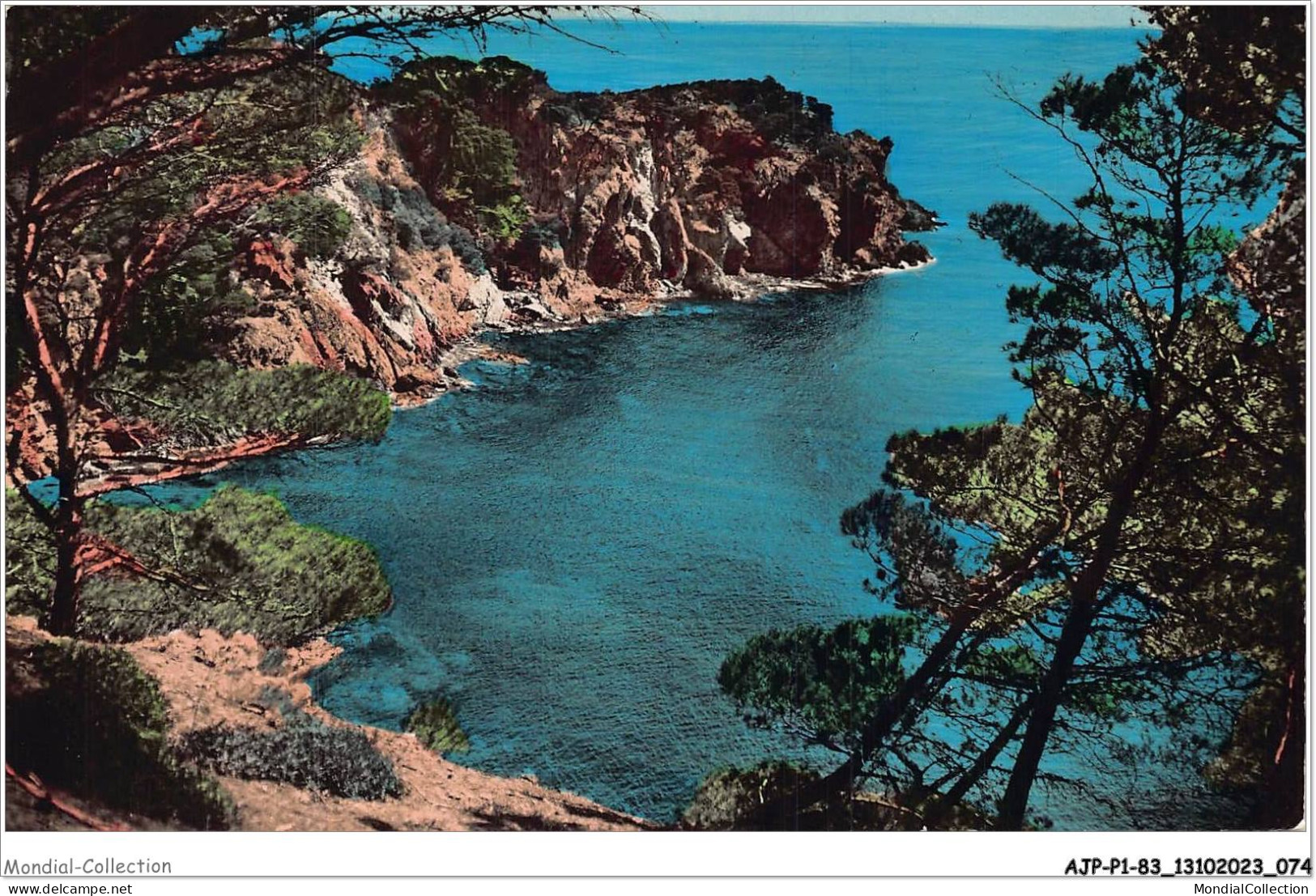 AJPP1-83-0038 - ILE DE PORQUEROLLES - La Grande Cale - Porquerolles