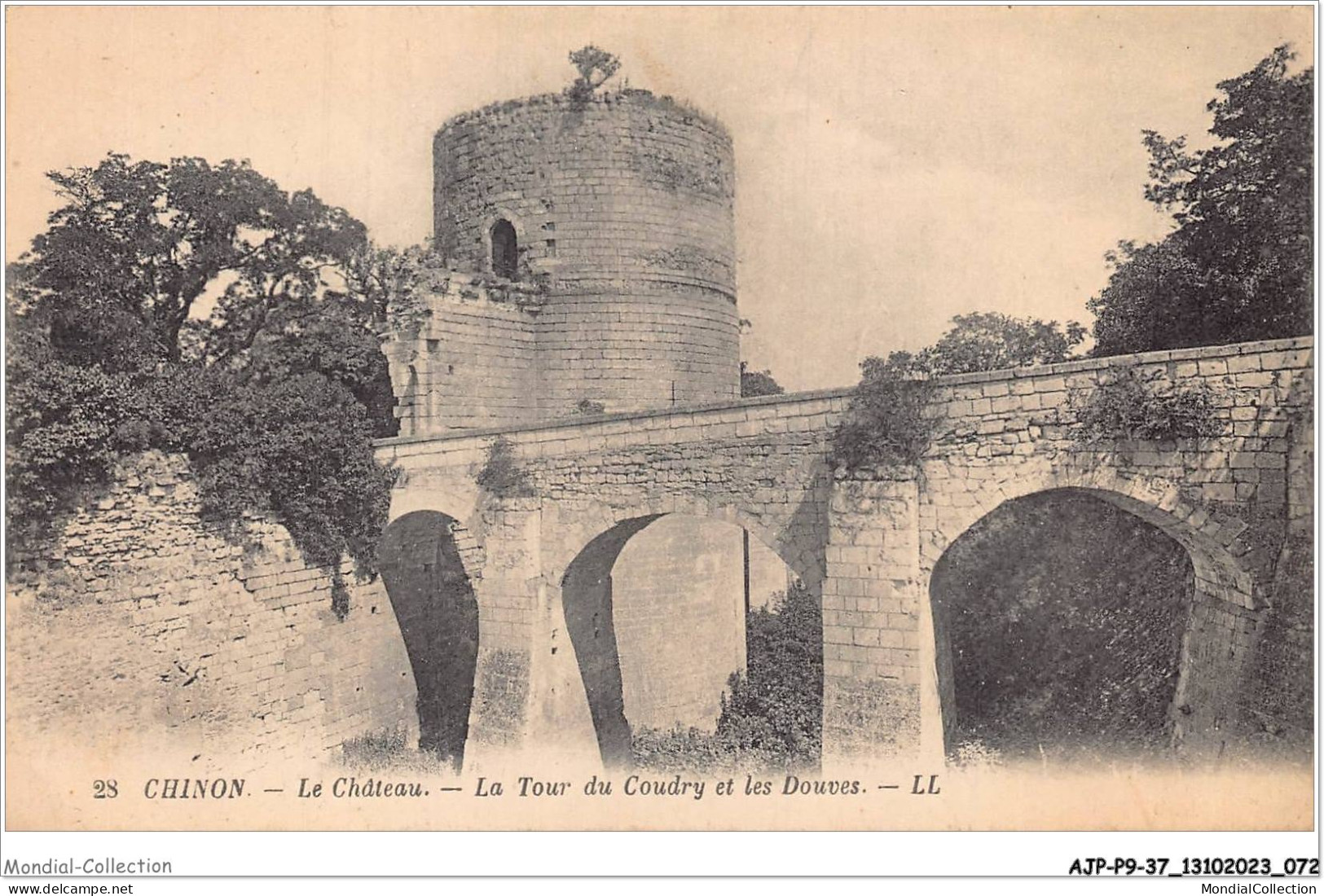 AJPP9-37-0933 - CHINON - Le Chateau - La Tour Du Coudry Et Les Douves - Chinon