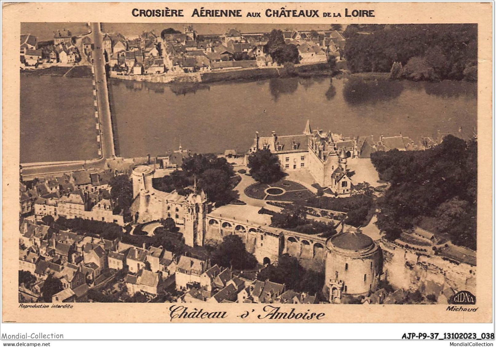 AJPP9-37-0916 - CROISIERE AERIENNE AUX CHATEAUX DE LA LOIRE - Chateau D'AMBOISE - Amboise