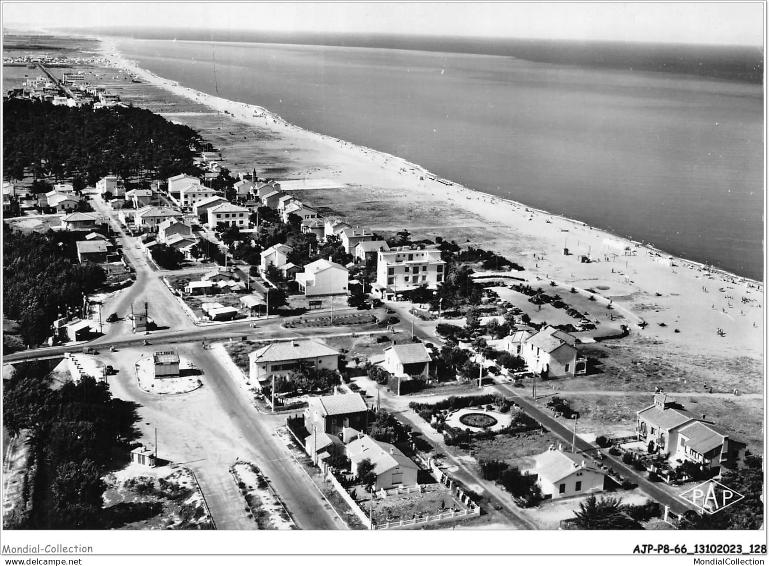 AJPP8-66-0869 - ARGELES PLAGE - Vue Aerienne - Vue Generale De La Plage - Argeles Sur Mer