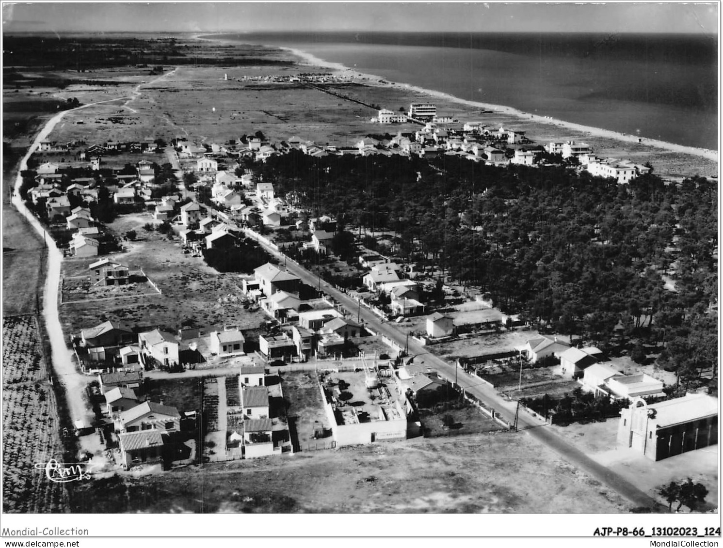 AJPP8-66-0867 - ARGELES-PLAGES - Vue Aerienne De La Plage - Cote Pins - Argeles Sur Mer