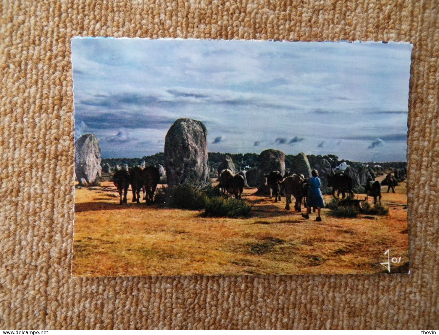 KB11/1053-Une Femme Et Ses Vaches Au Milieu Des Alignements à Carnac - Carnac