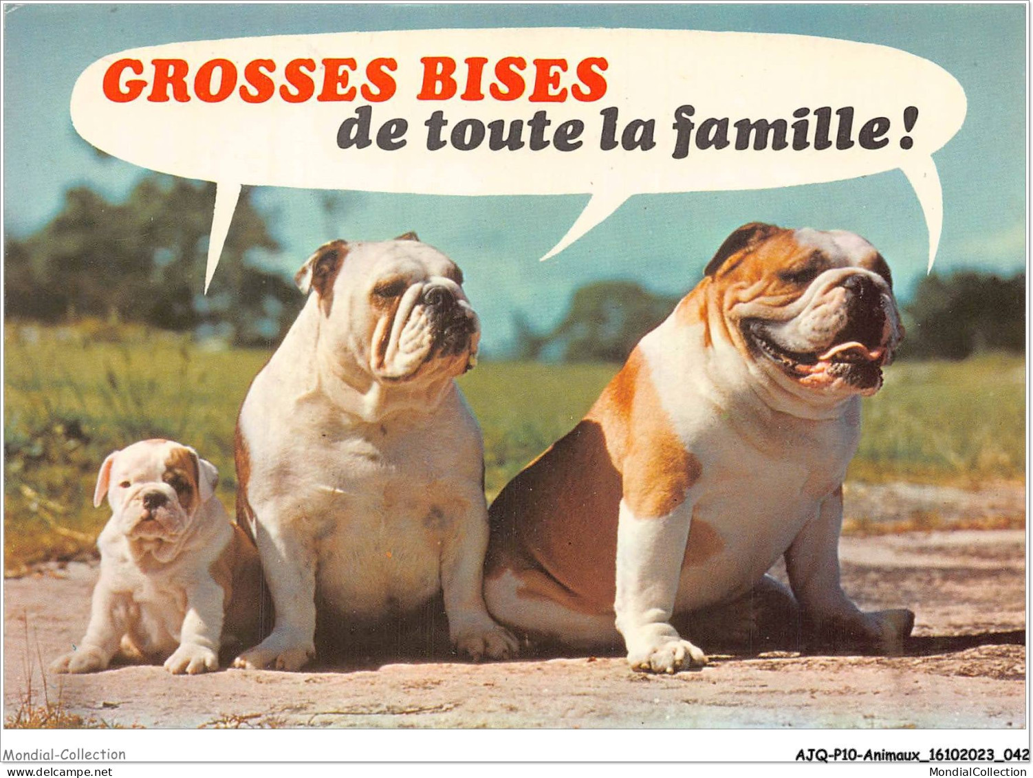 AJQP10-0955 - ANIMAUX - GROSSE BISES DE TOUTE LA FAMILLE  - Dogs