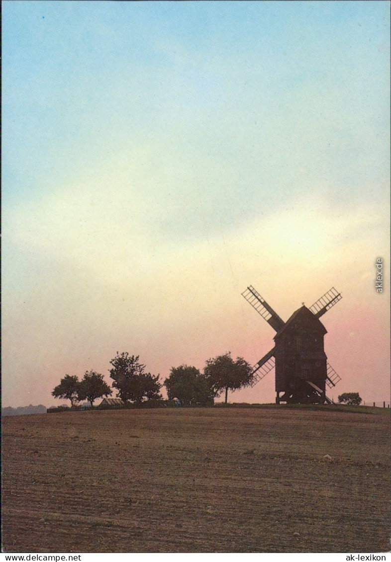 Lebusa Bockwindmühle Ansichtskarte Bild Heimat 1988 - Autres & Non Classés