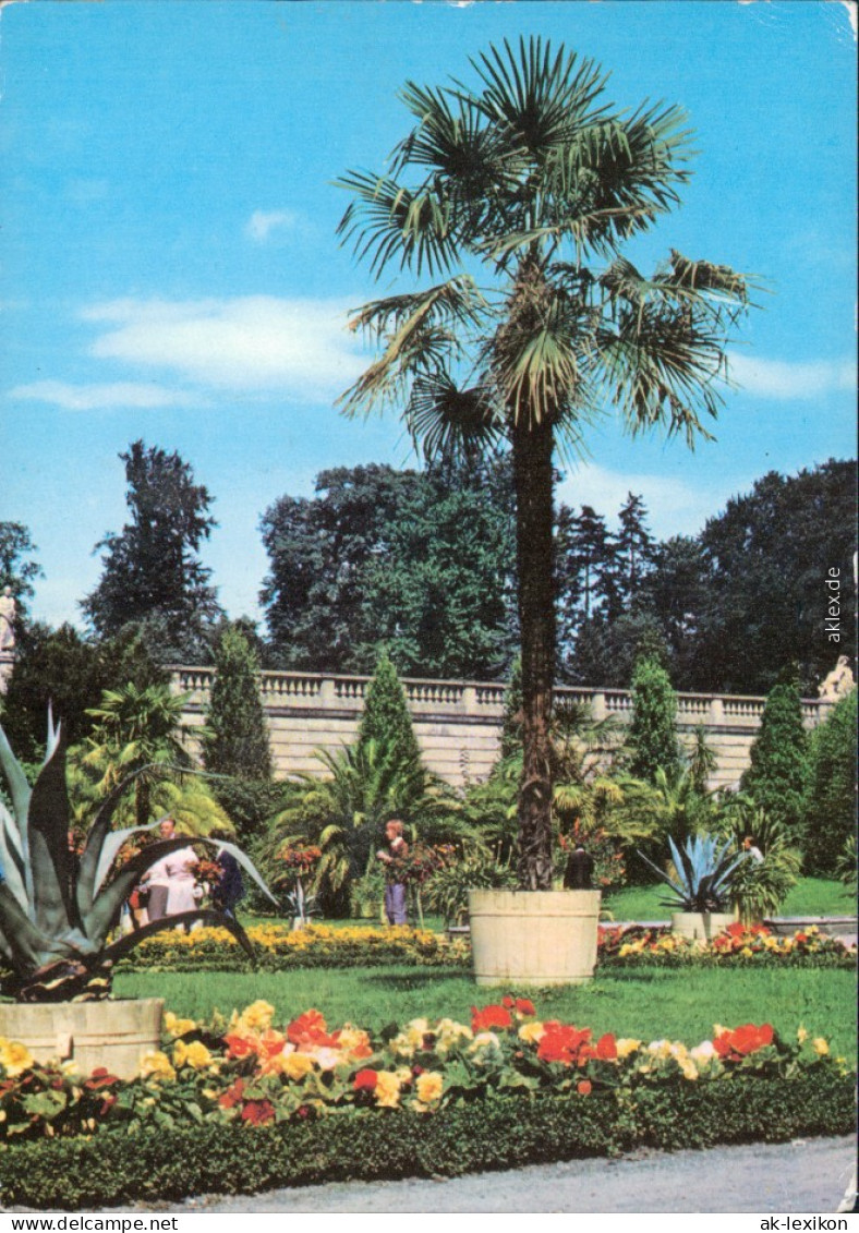 Potsdam Schlosspark Sanssouci: Sizilianischer Garten 1984 - Potsdam