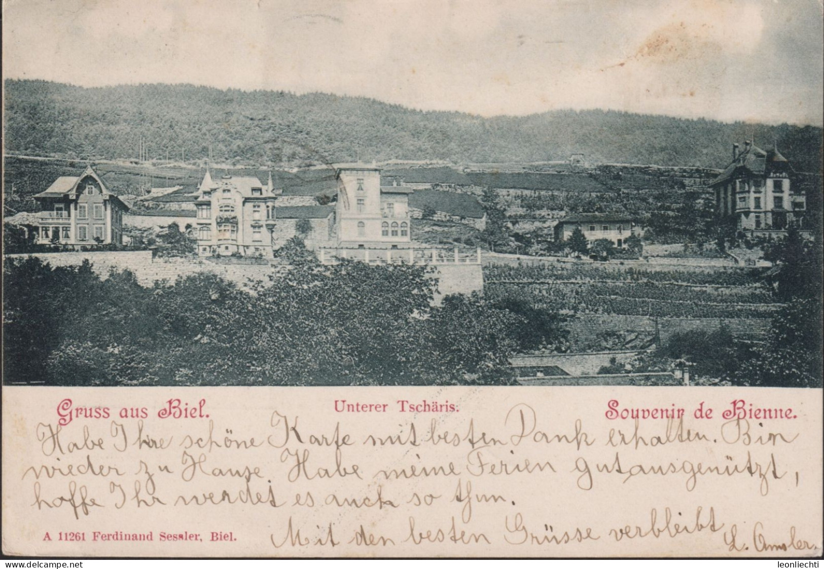 Postkarte Gruss Aus Biel, Unterer Tschäris, Zum: 65B, Mi: 53Y, ⵙ BIENNE TRANSIT 13.lX.1900 - Bienne