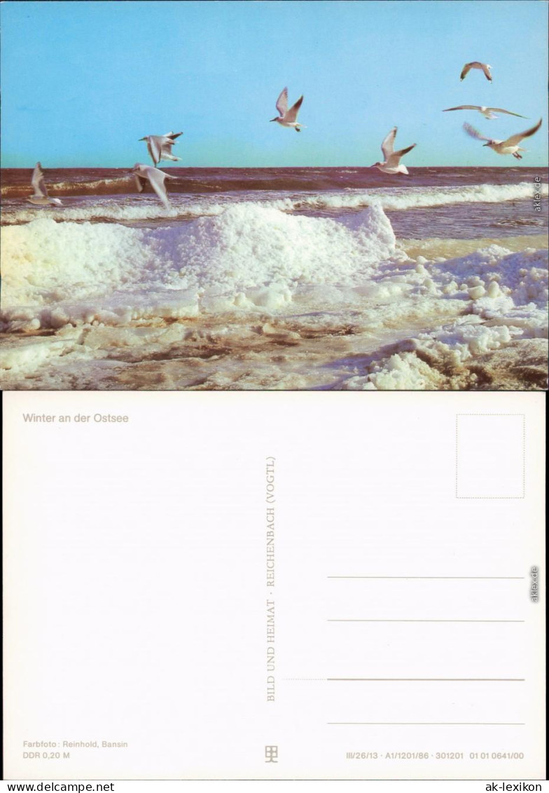 .Mecklenburg-Vorpommern Winter An Der Ostsee: Meer, Möwen, Schnee 1986 - Altri & Non Classificati