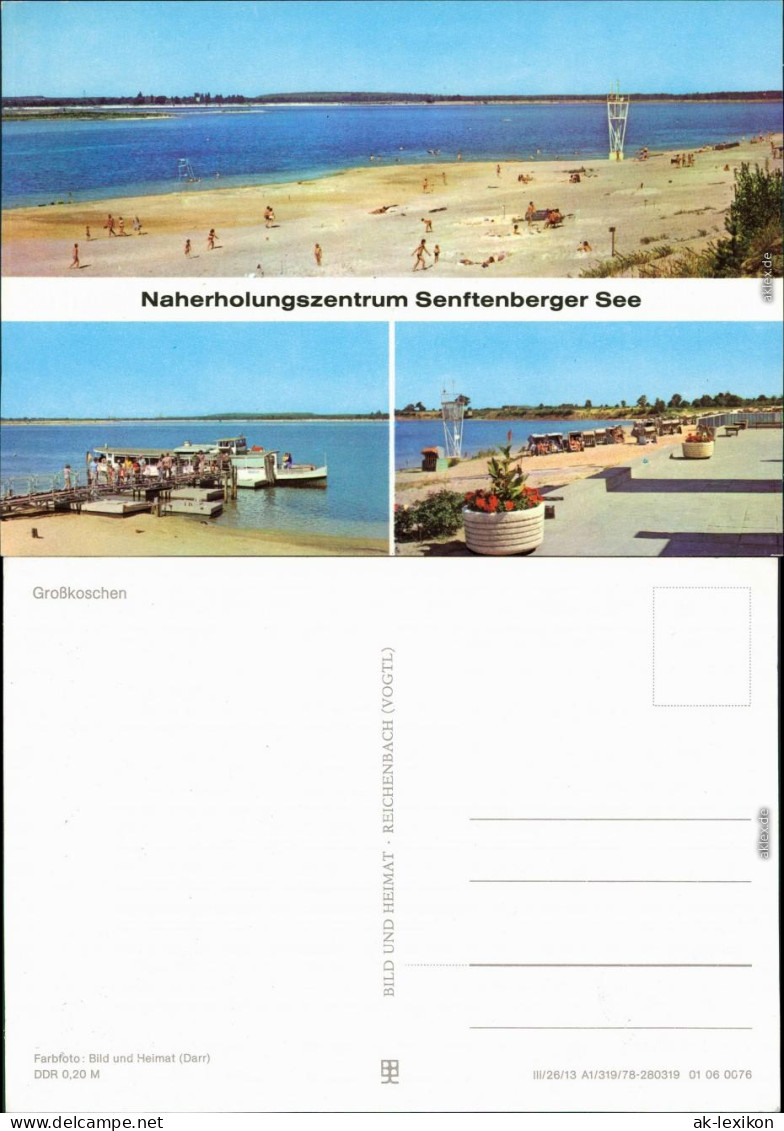 Großkoschen Senftenberg (Niederlausitz)  Großkoschener Seite - Badestrand  1978 - Senftenberg