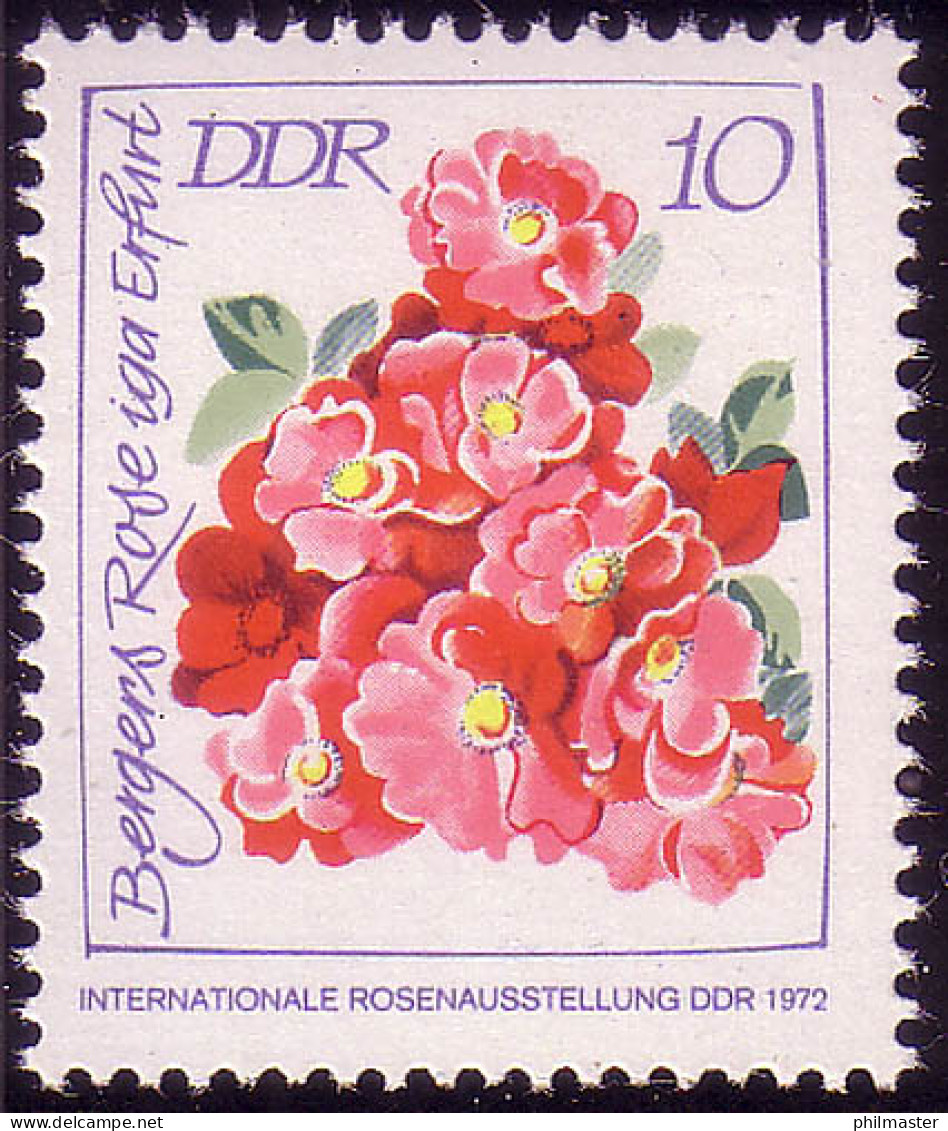 1778 Rosenausstellung Erfurt 10 Pf ** - Unused Stamps