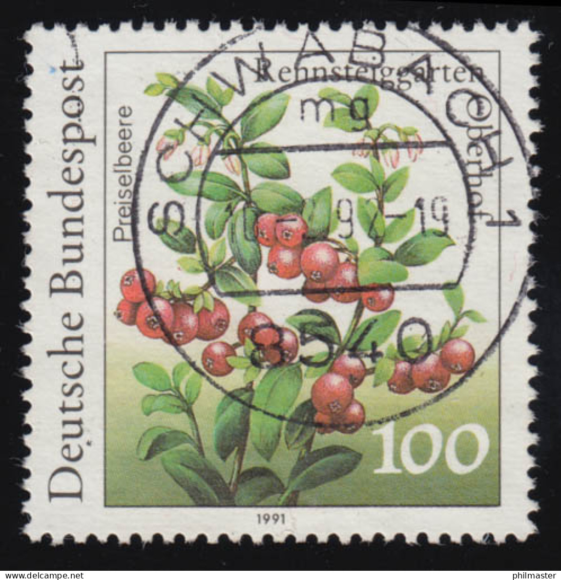 1508 Rennsteig PLF Strich In Roter Beere, Gestempelt SCHWABACH 10.2.92 - Abarten Und Kuriositäten