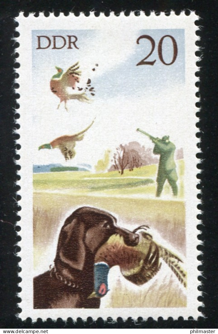 2272 Jagdwesen Fasan 20 Pf: Brauner Strich An Oberer Fasanenfeder, Feld 39 ** - Variétés Et Curiosités