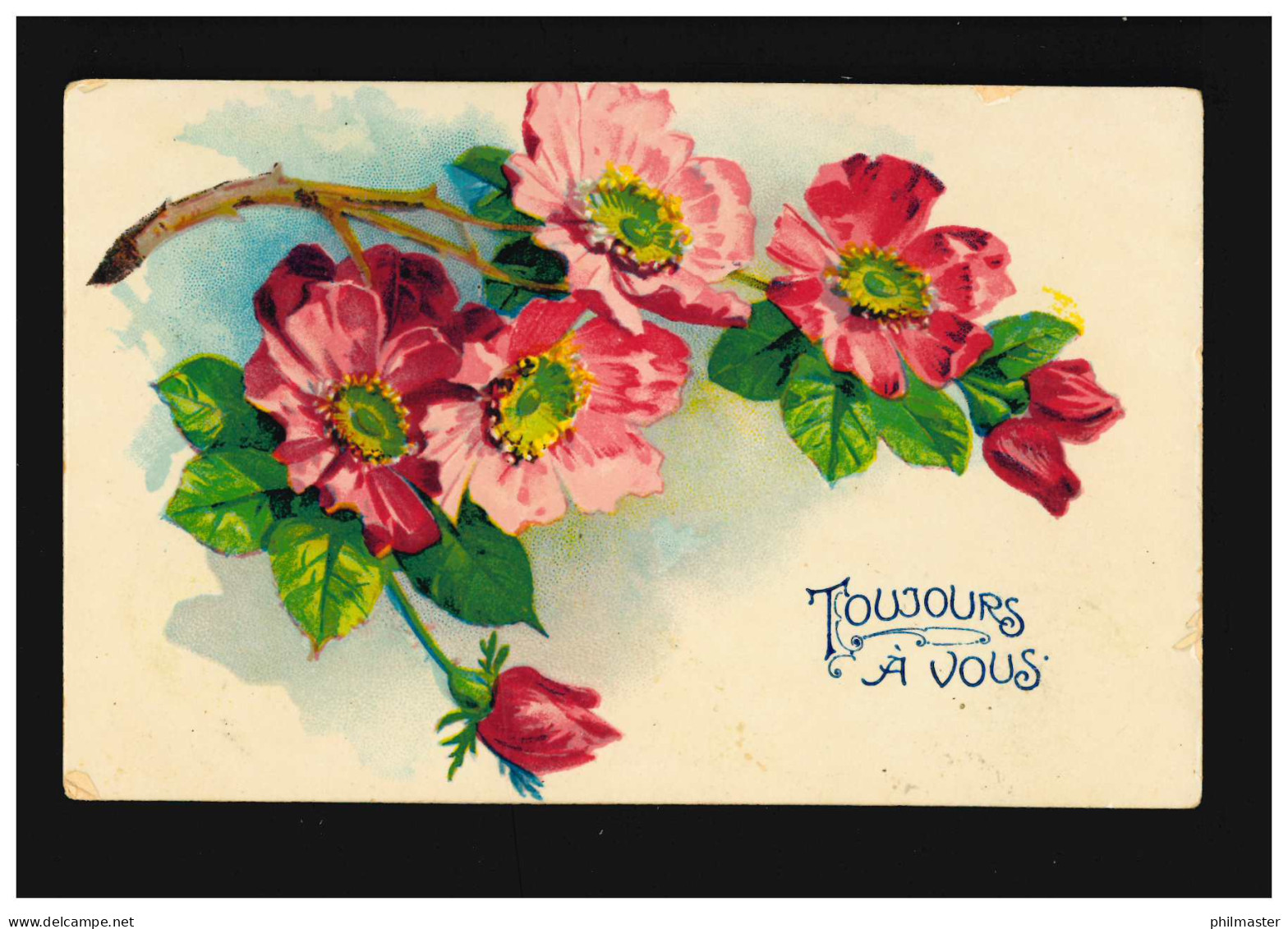 AK Blumen Zweig Mit Rosa Blüten Toujours À Vous Belgien, Verviers 24.1.1908 - Autres & Non Classés