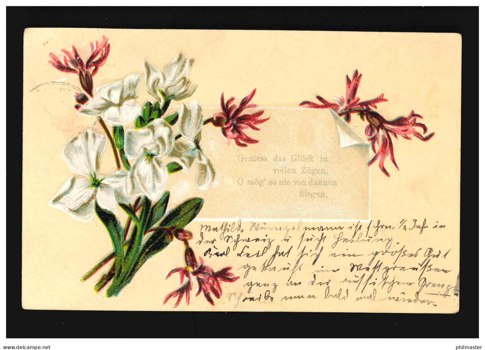 AK Blumen Rosa Nelken Weisse Blüten, Geniess Das Glück, Burg (Dithm) .27.6.1908 - Autres & Non Classés