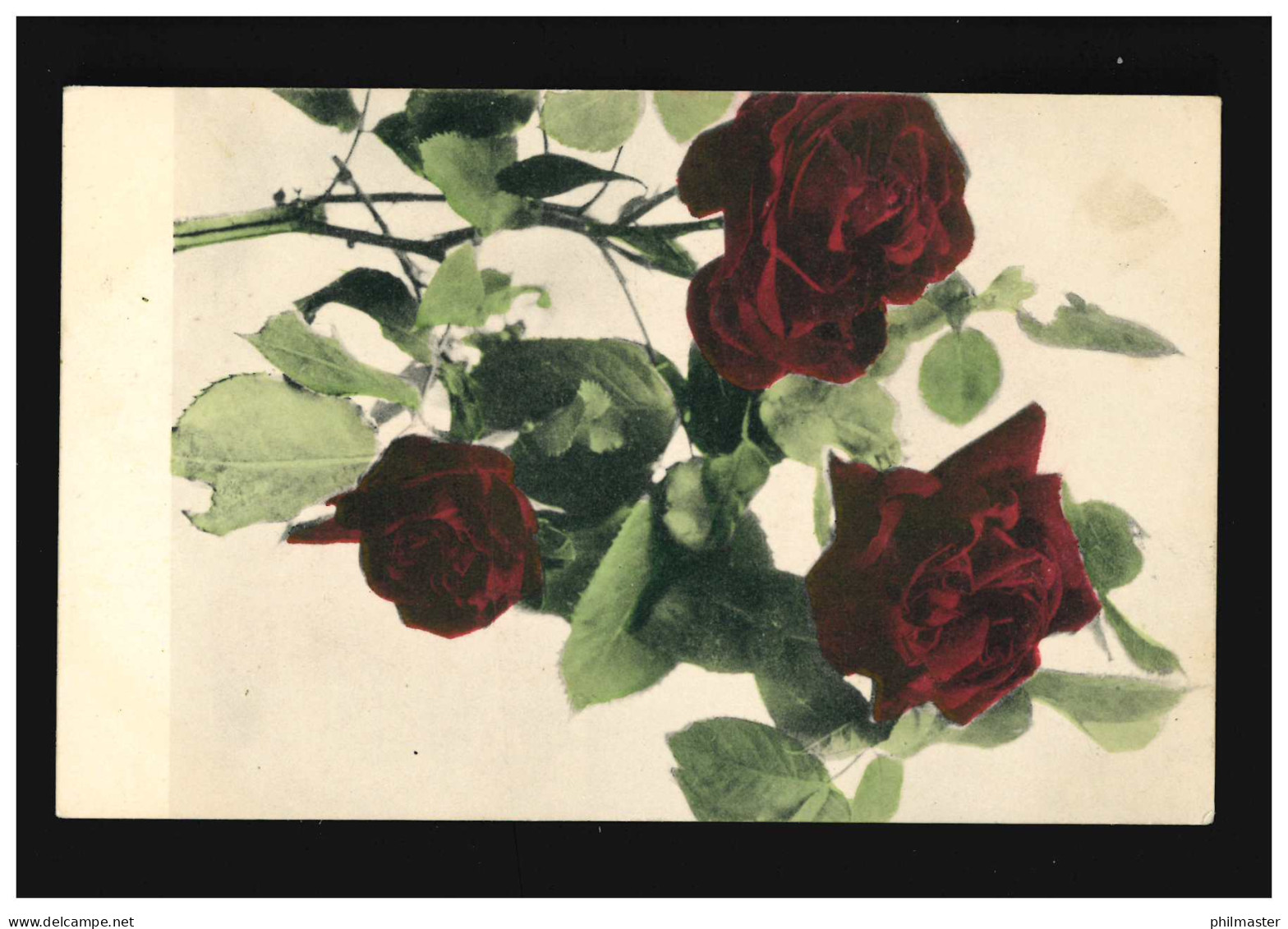 AK Blumen Dunkelrote Rose Zweig Blätter Serie 155, Hamburg 24.7.1907 - Sonstige & Ohne Zuordnung