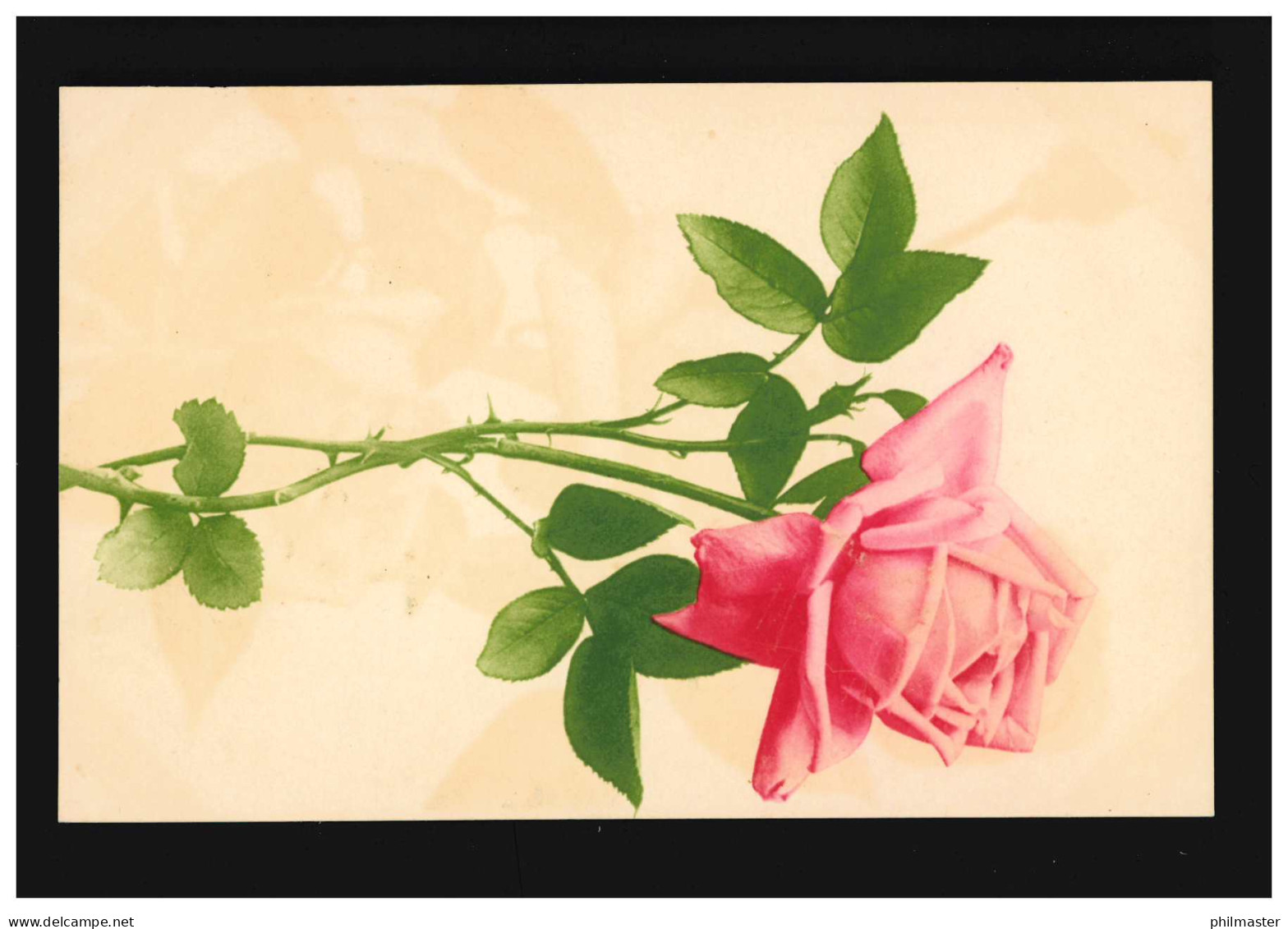 AK Blumen Strauß Rose Rosa Blüte Zweig Farbenlichtdruck, Ungebraucht - Sonstige & Ohne Zuordnung