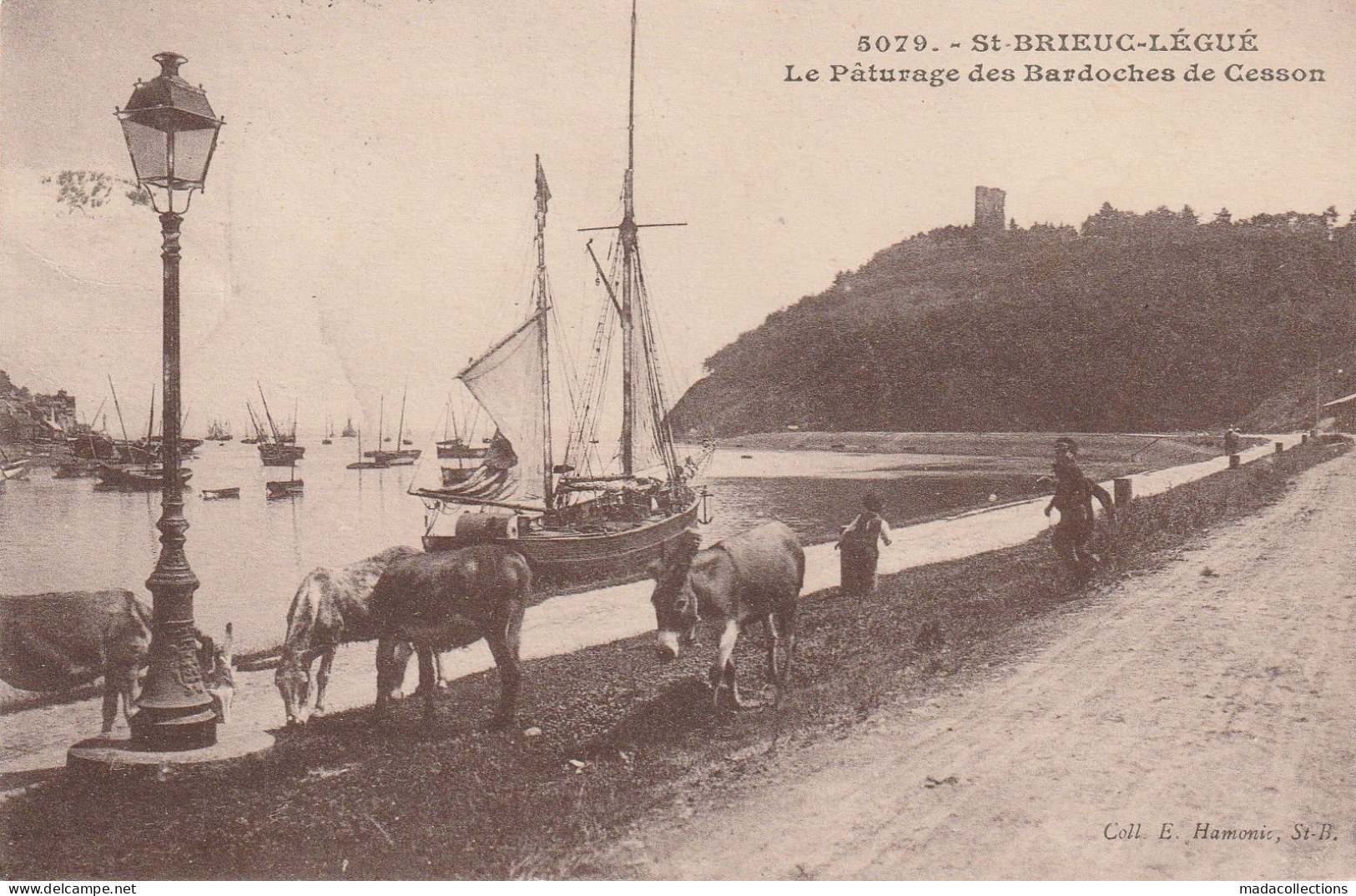 Saint Brieuc (22 - Côtes D'Armor)  Légué - Le Pâturage Des Bardoches De Cesson - Saint-Brieuc