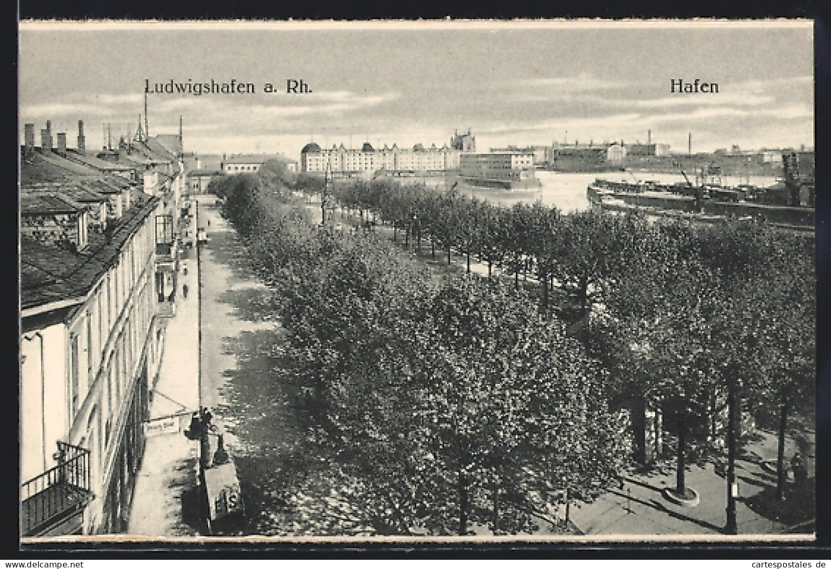 AK Ludwigshafen / Rhein, Hafen Mit Baumallee  - Ludwigshafen