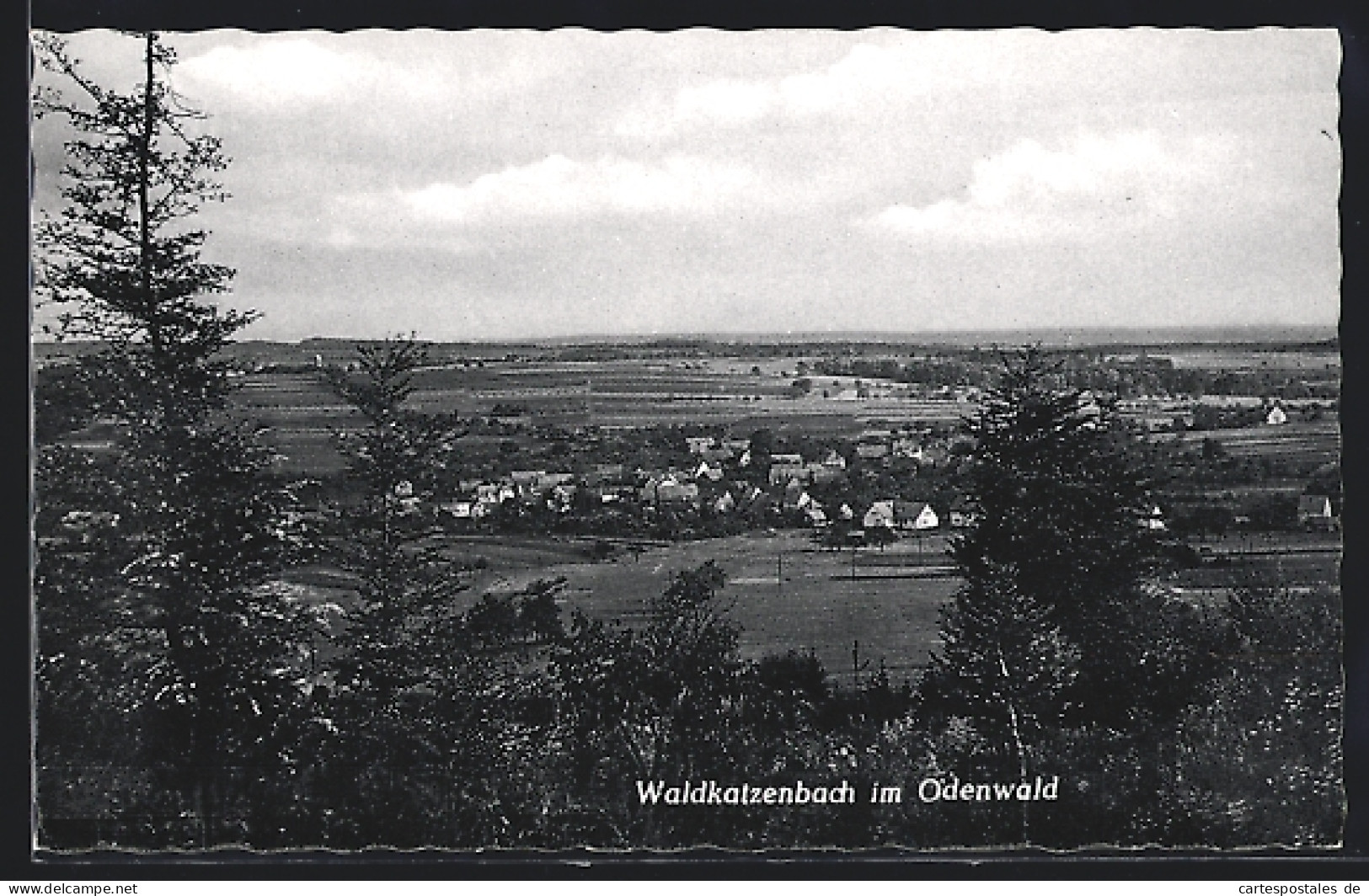 AK Waldkatzenbach /Odenwald, Gesamtansicht Aus Der Vogelschau  - Sonstige & Ohne Zuordnung