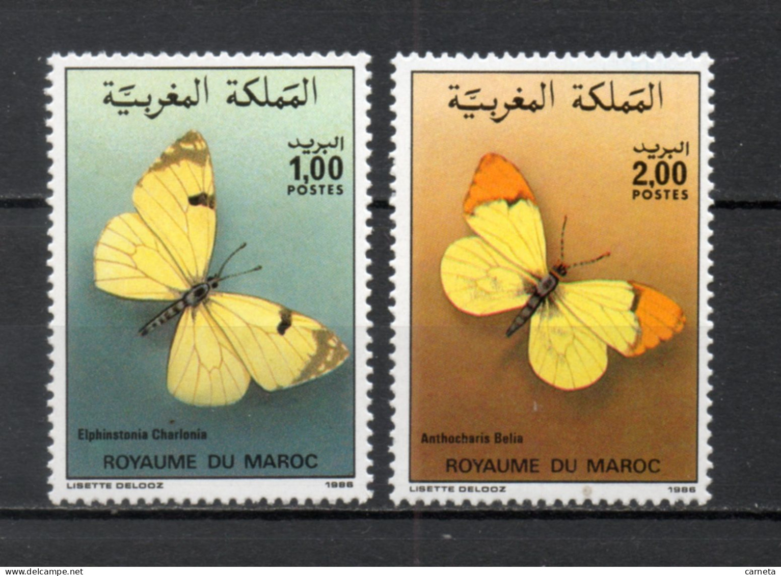 MAROC N°  1017 + 1018    NEUFS SANS CHARNIERE  COTE 6.00€    PAPILLON ANIMAUX FAUNE  VOIR DESCRIPTION - Marokko (1956-...)