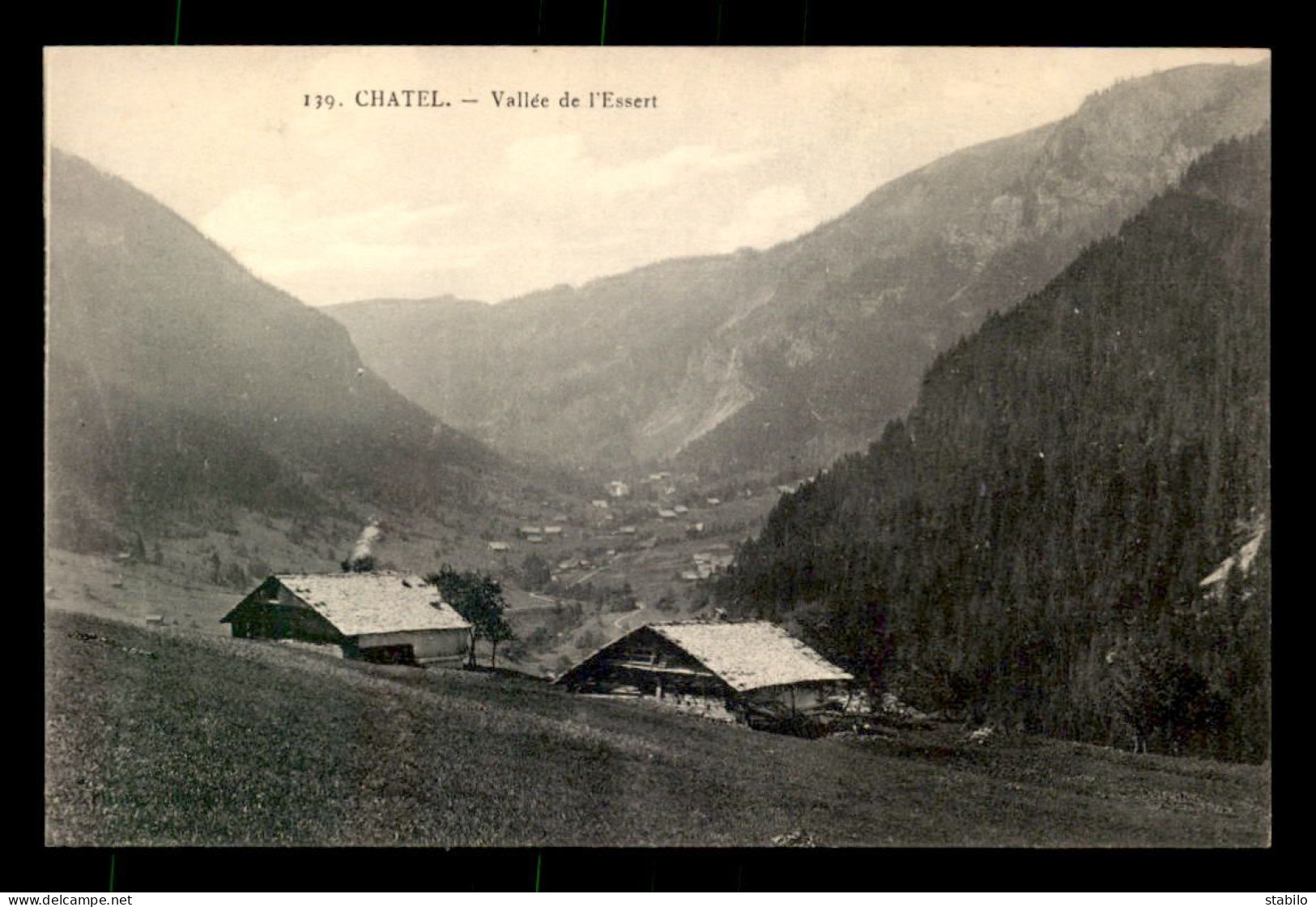 74 - CHATEL - VALLEE DE L'ESSERT - Châtel