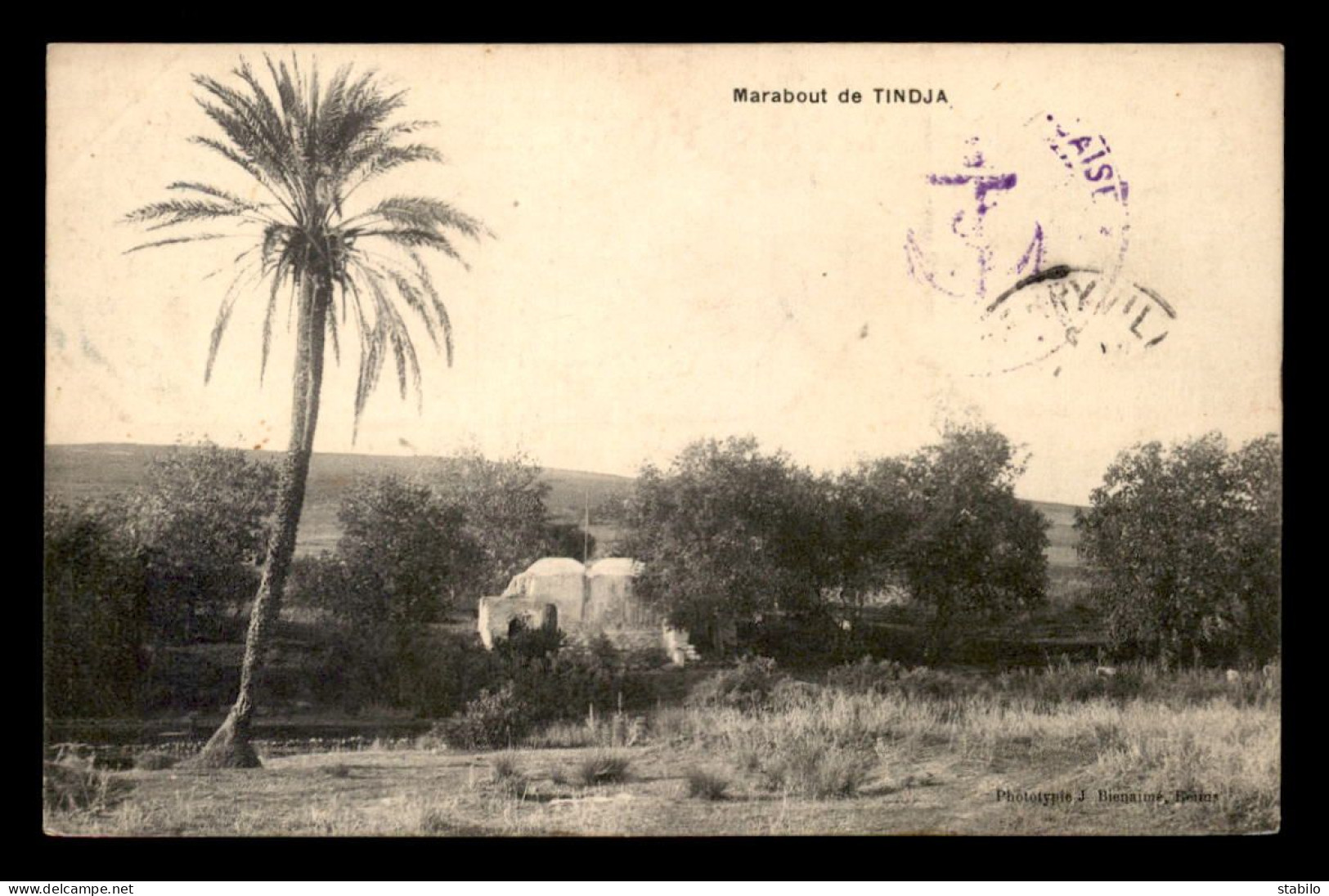 ALGERIE - MARABOUT DE TINDJA - Autres & Non Classés