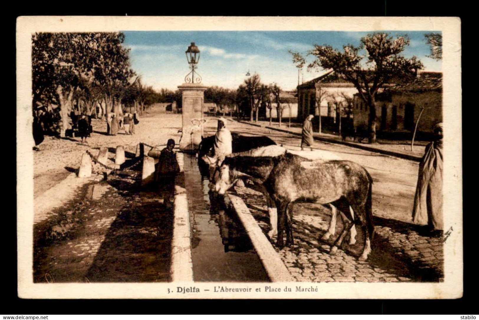 ALGERIE - SAHARA - DJELFA - L'ABREUVOIR ET LA PLACE DU MARCHE - Djelfa