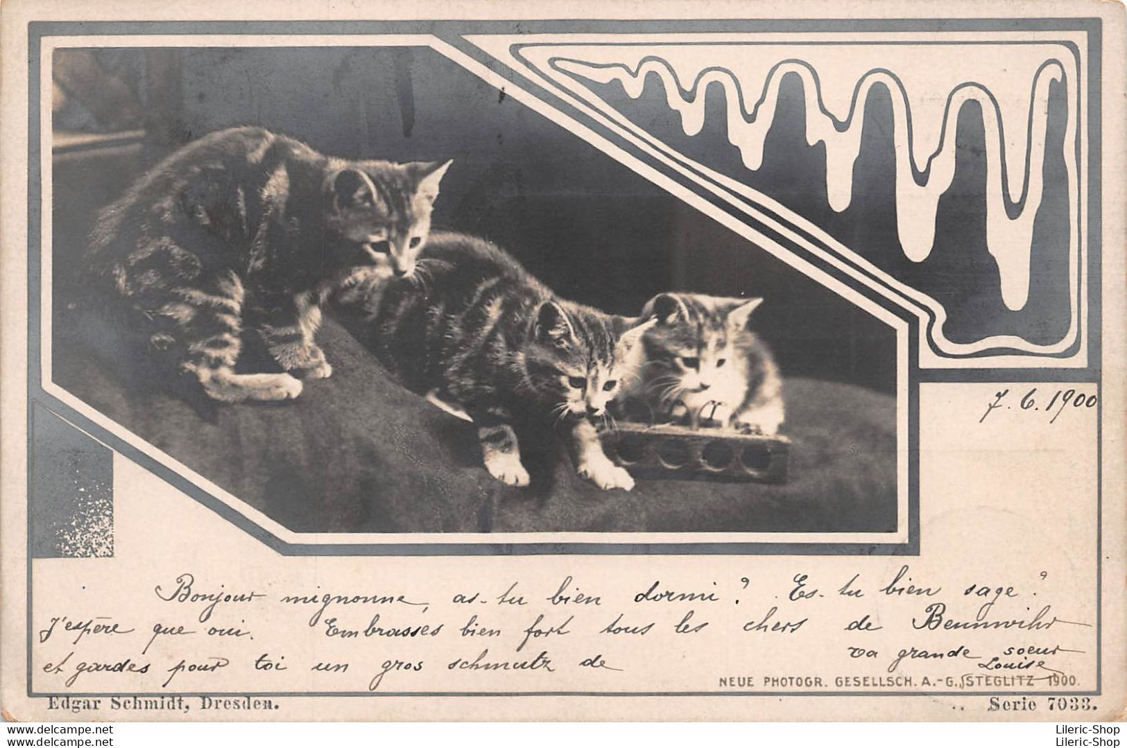 EDGAR SCHMIDT, Dresden, Serie 7033 - 3 Chats Cats Katzen -  Oranotypie AG STEGLITZ 1900 ( ͡♥ ͜ʖ ͡♥) ♥ - Autres & Non Classés