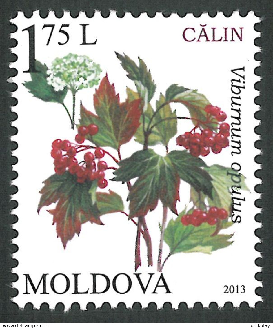 2013 829 Moldova Flora - Berries MNH - Moldavie