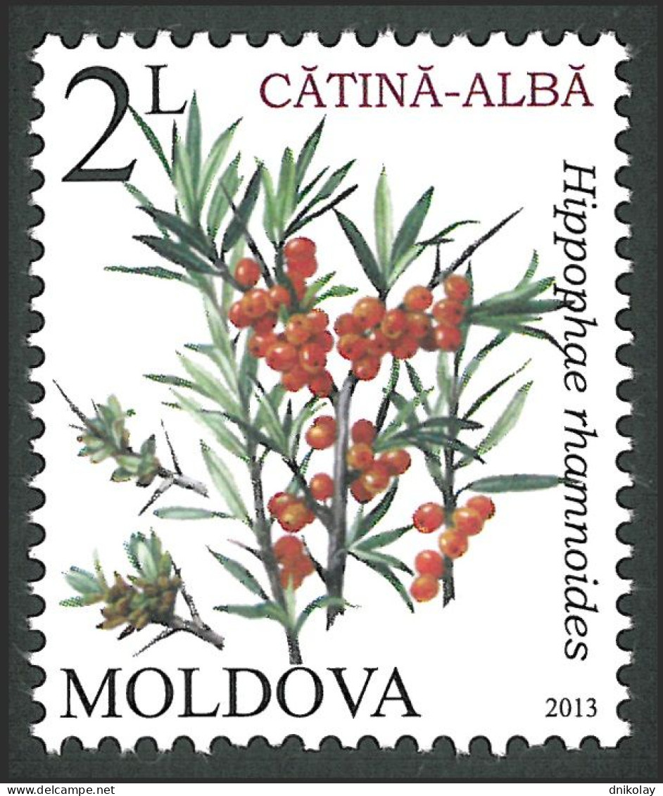 2013 829 Moldova Flora - Berries MNH