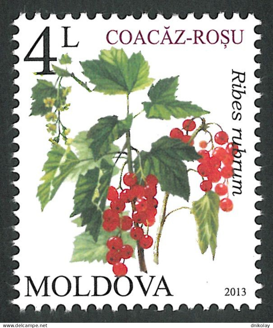 2013 829 Moldova Flora - Berries MNH