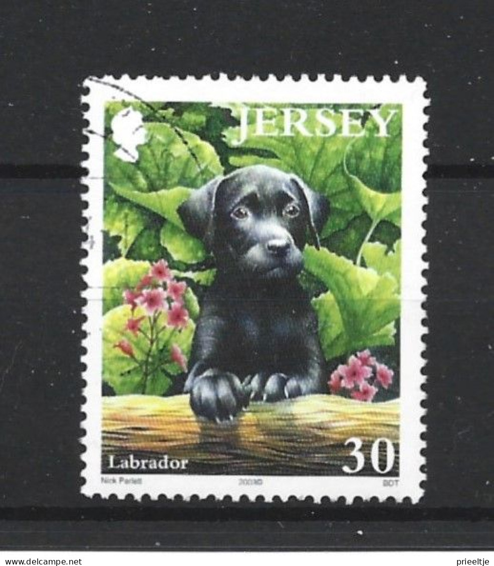 Jersey 2003 Dog Y.T. 1122 (0) - Jersey