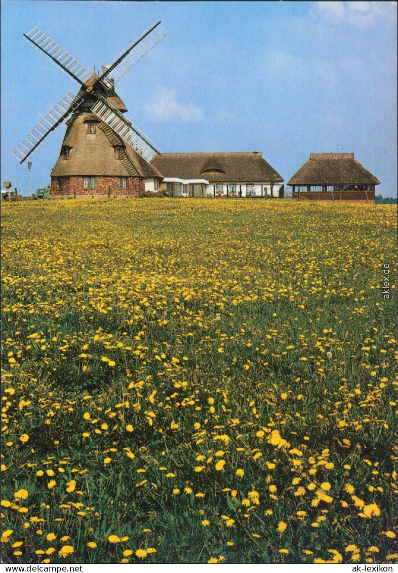 Dorf Mecklenburg Gaststätte "Mecklenburger MühleAnsichtskarte Bild Heimat 1988 - Autres & Non Classés