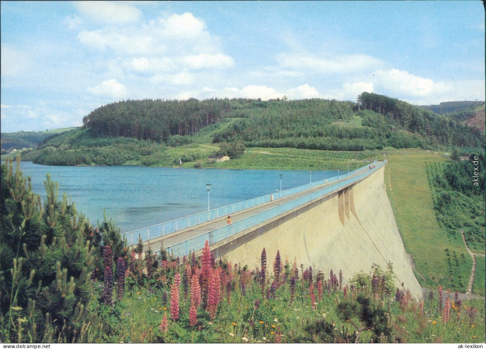 Rauschenbach Neuhausen (Erzgebirge) Talsperre Rauschenbach  Staumauer 1985 - Neuhausen (Erzgeb.)