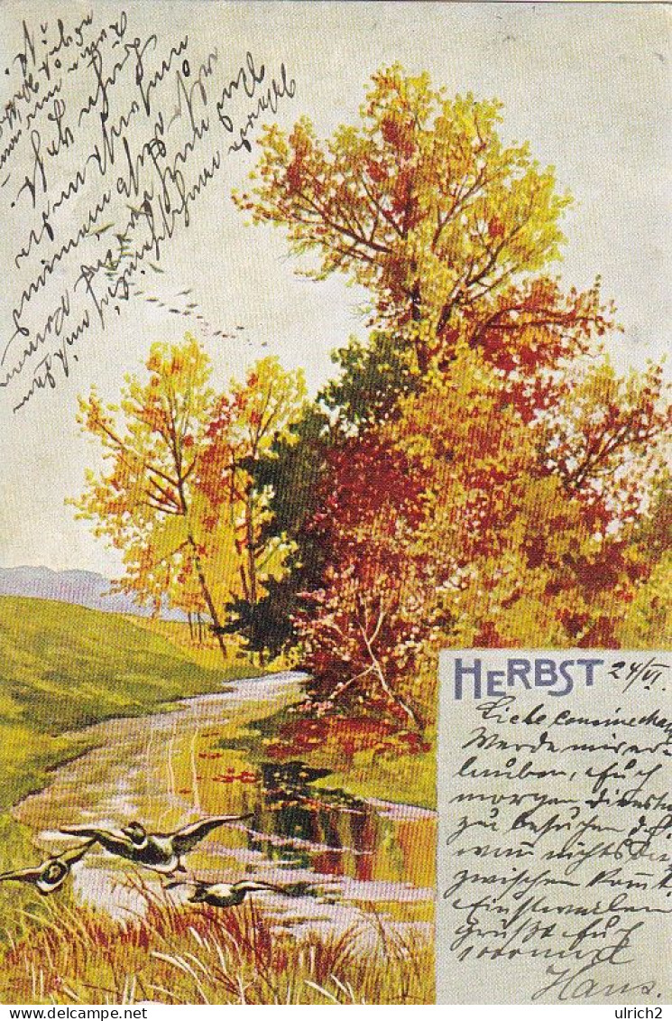 AK Künstlerkarte - Herbst - Fluss Bäume Landschaft - 1901 (69243) - 1900-1949