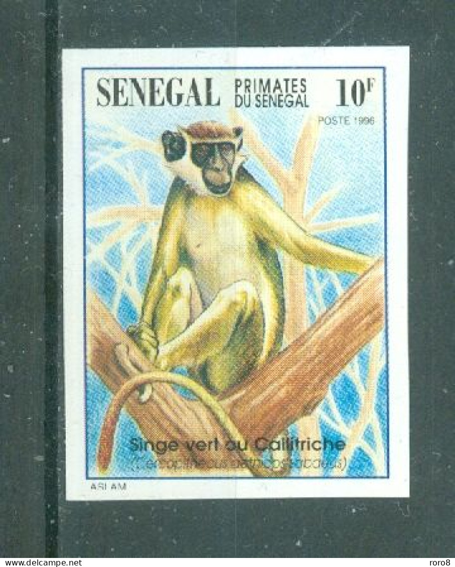 REPUBLIQUE DU SENEGAL - N°1193 Sans Gomme - Faune. Primates Du Sénégal. - Senegal (1960-...)